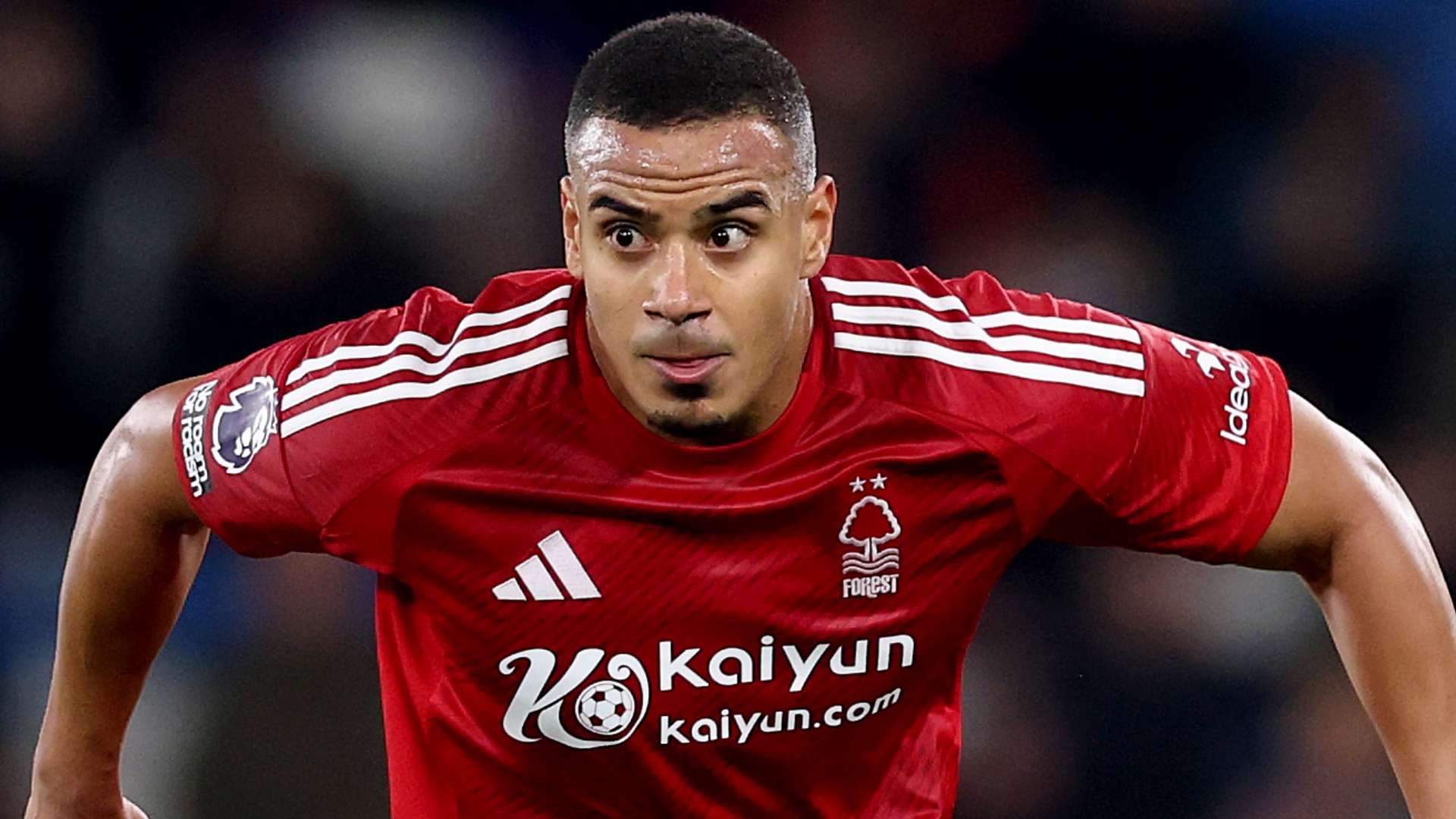 我们将探讨 我们将探讨