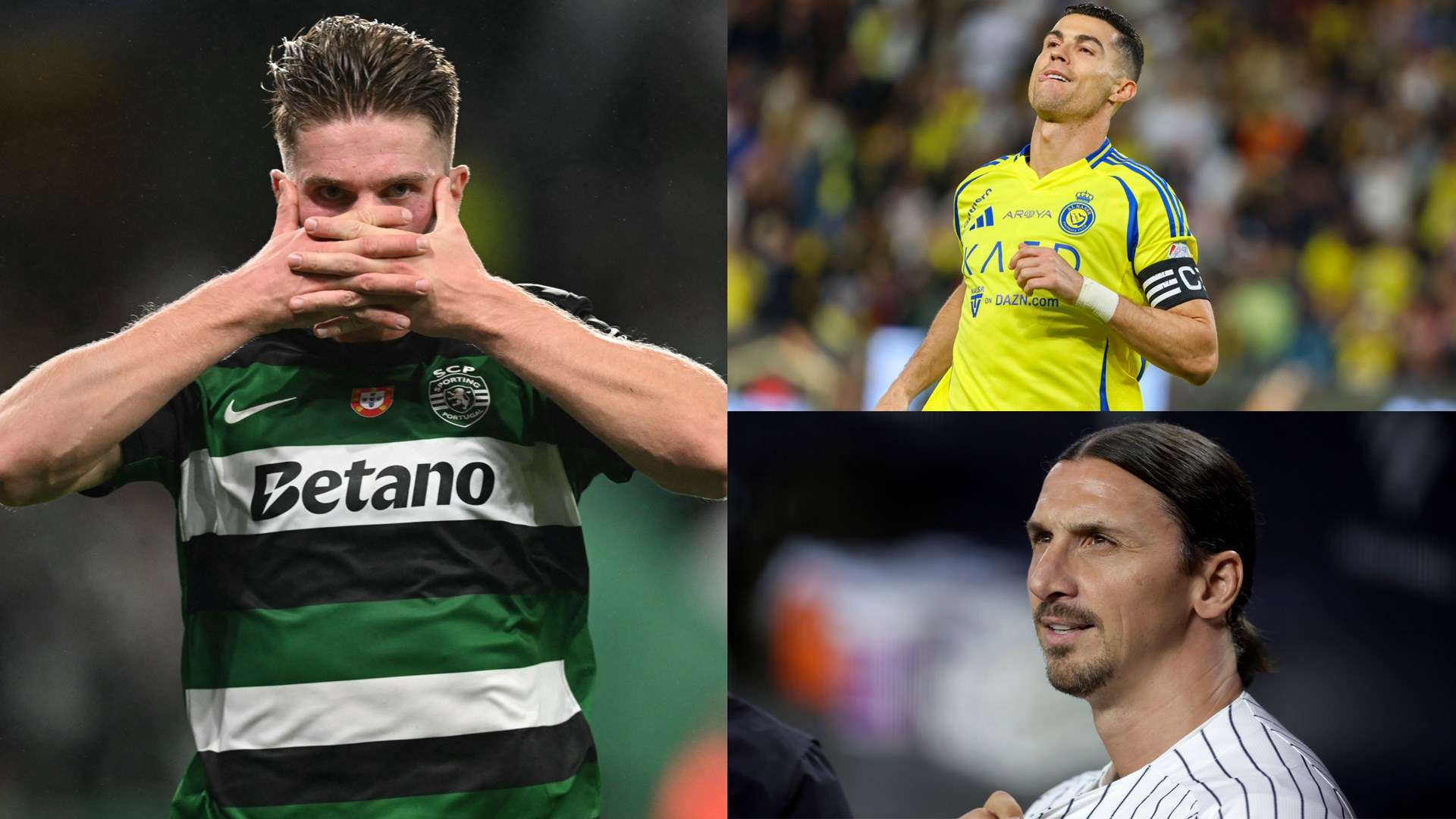 郑智的经验 郑智的经验